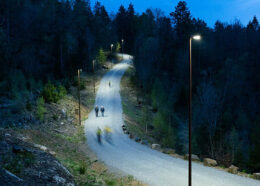 Elite in floodlit track